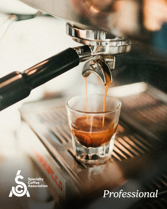 SCA Professional Barista Course